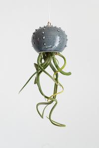 Piccolo vaso sospeso in ceramica per piante aeree tillandsia - modello Cactopus