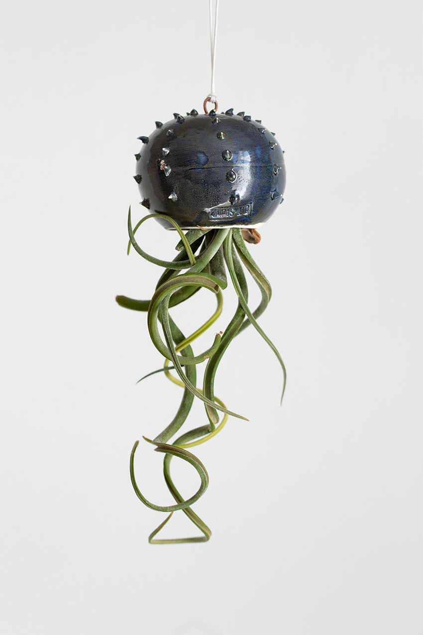 Piccolo vaso sospeso in ceramica per piante aeree tillandsia - modello –  Kairòs Lab