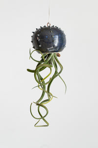 Piccolo vaso sospeso in ceramica per piante aeree tillandsia - modello Cactopus