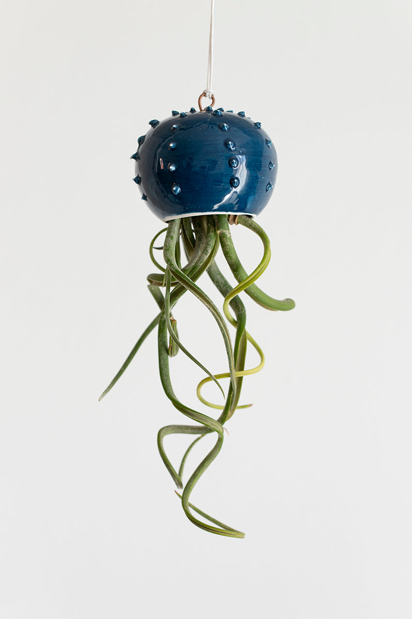 Piccoli vasi per piante aeree a forma di meduse - Keblog Shop