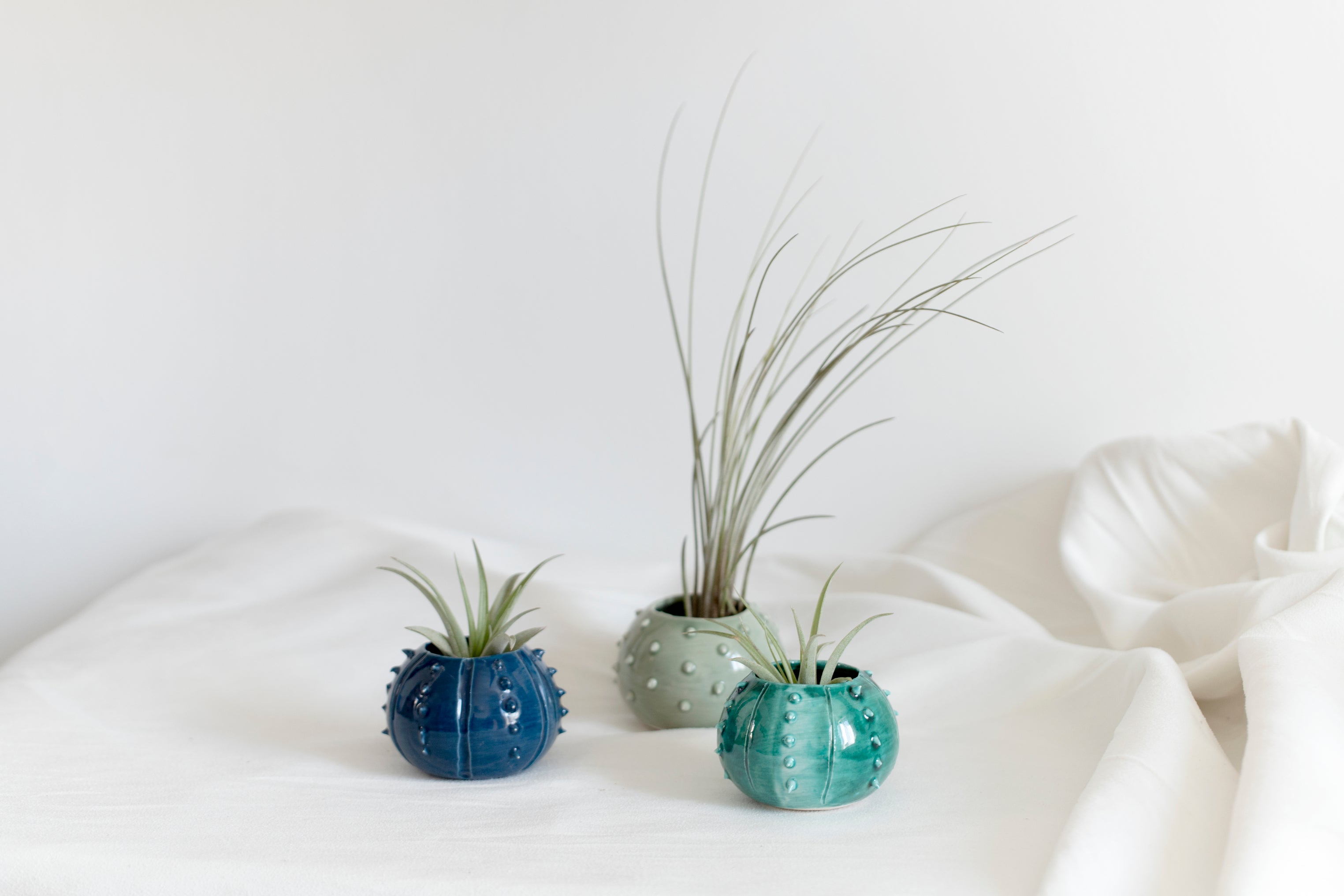 Piccolo vaso in ceramica design riccio di mare per piante aeree Tillan –  Kairòs Lab